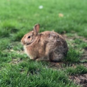 Meet your Posher, Steven